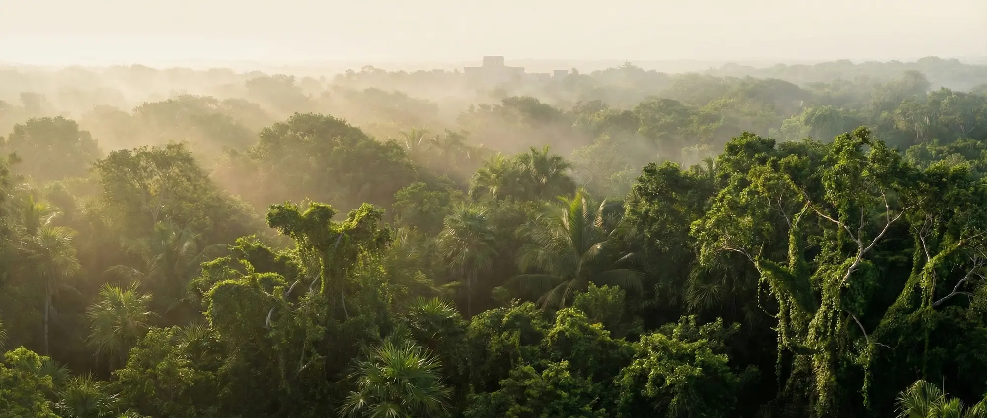 Luxury condo in Tulum with private plunge pool and jungle views